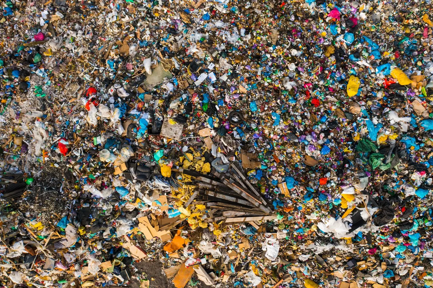 Mikroplastik w środowisku: Lokalne badania i rozwiązania
