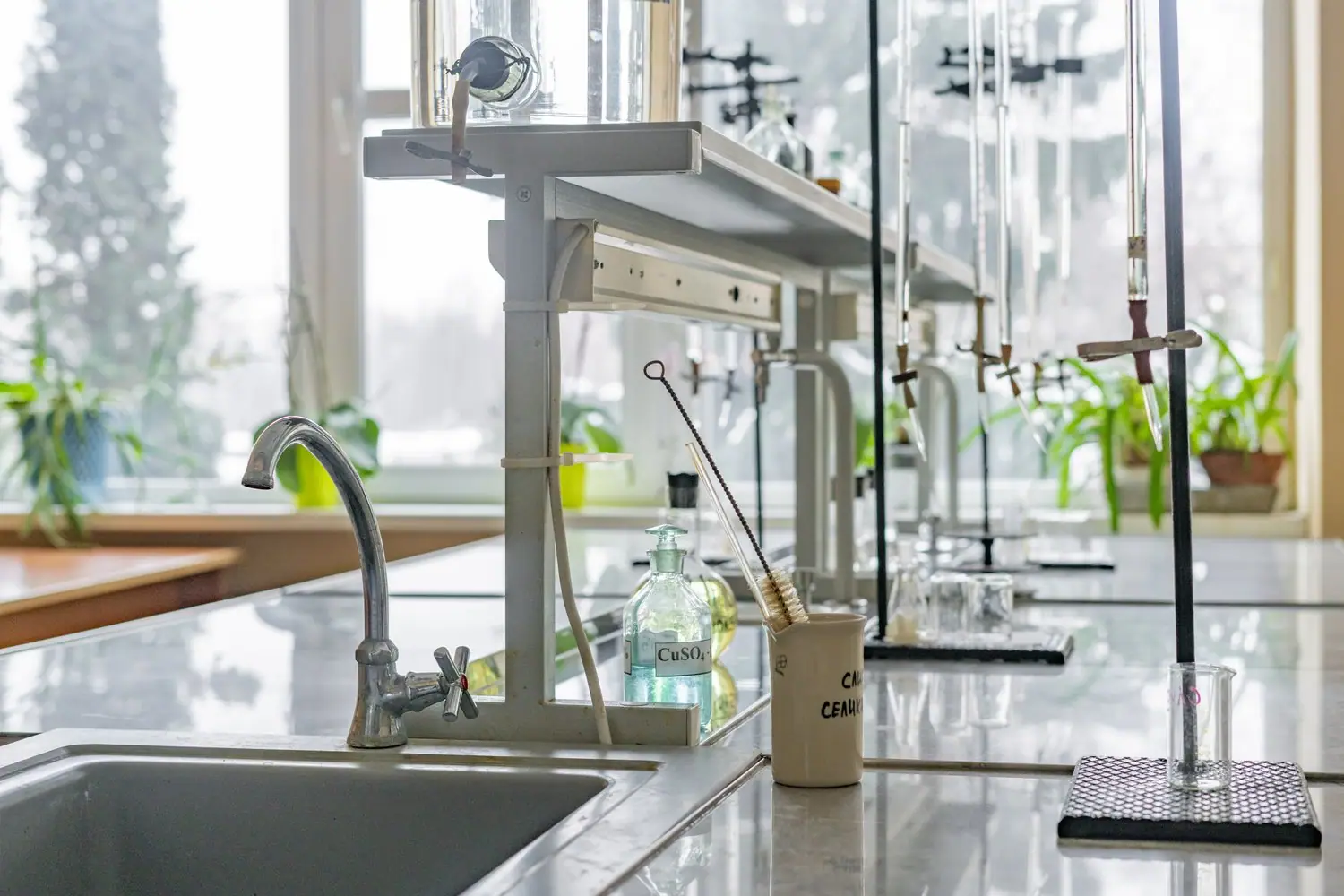 Biotechnologia przemysłowa: Innowacje w regionie świętokrzyskim