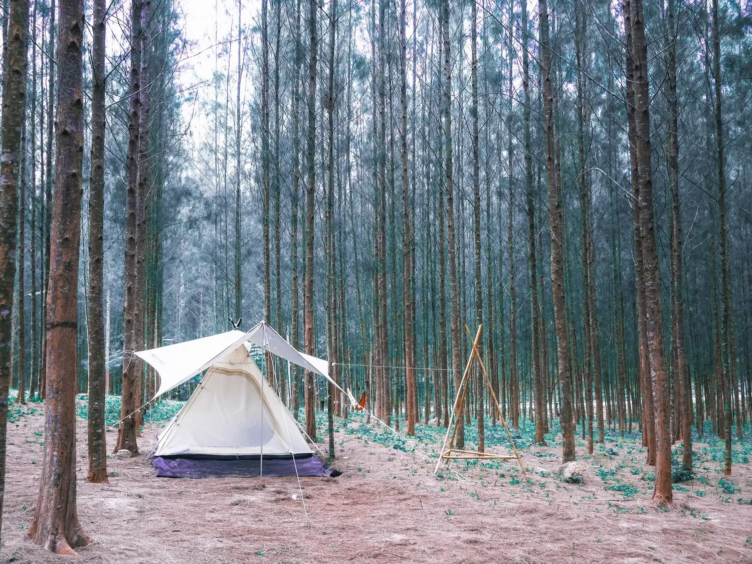 Najlepsze miejsca na camping w Górach Świętokrzyskich