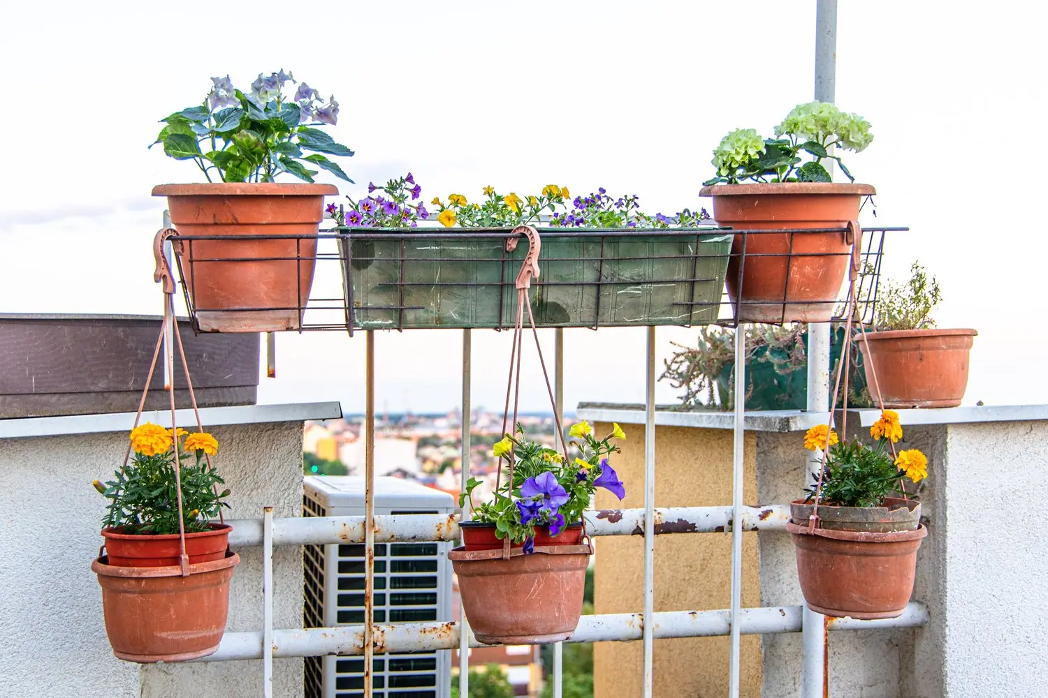 Zielony balkon w bloku: jak urządzić mini ogród na małej przestrzeni